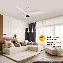 22.09.23_-_renesa_enzel_pli_whit (1).webp