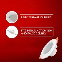 61PVqhzgCYL._SL1080_.webp